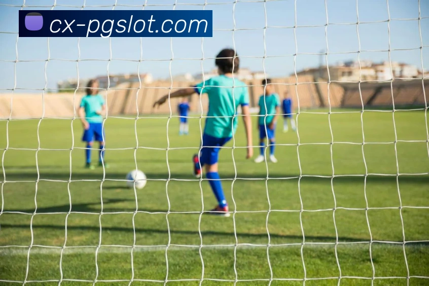 PG麻将胡了官网APP 体育赛事宣传图